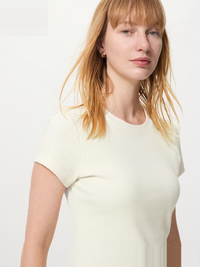 Rib Mini T