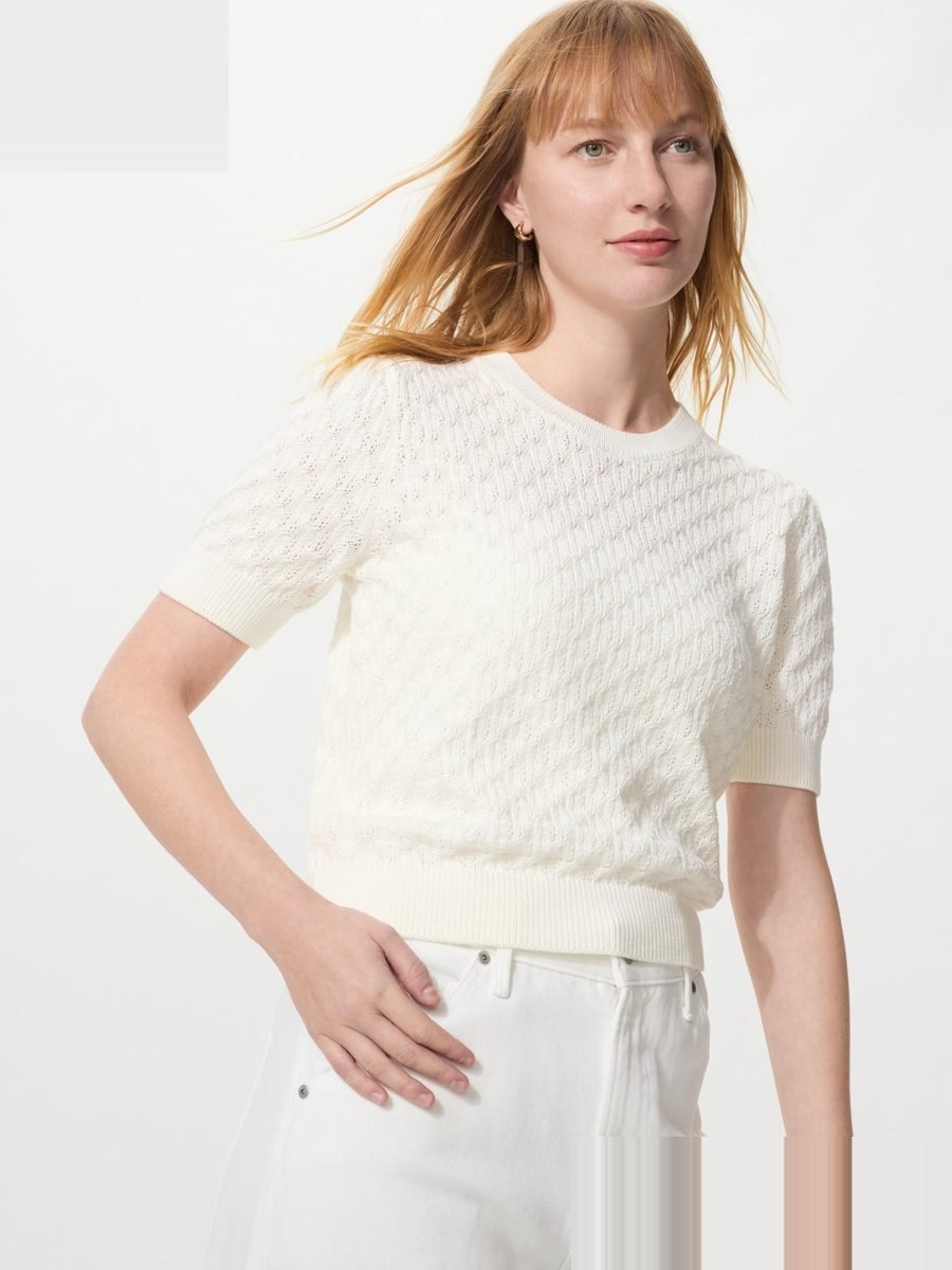 Pointelle Crew Knit